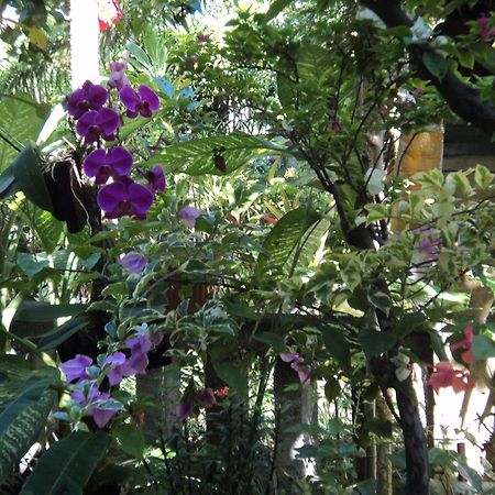 Villa Bhuana Alit 우붓 외부 사진