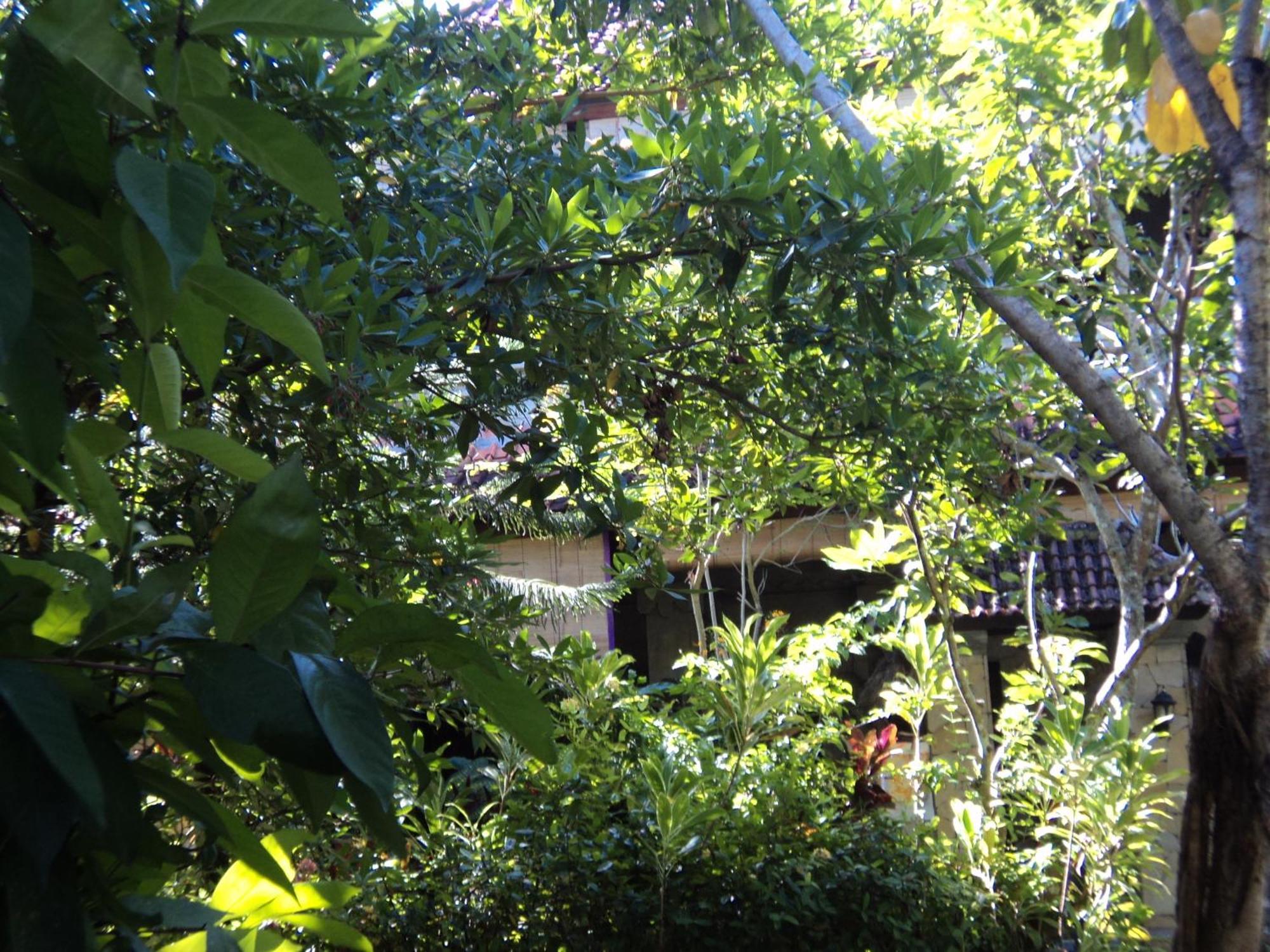 Villa Bhuana Alit 우붓 외부 사진