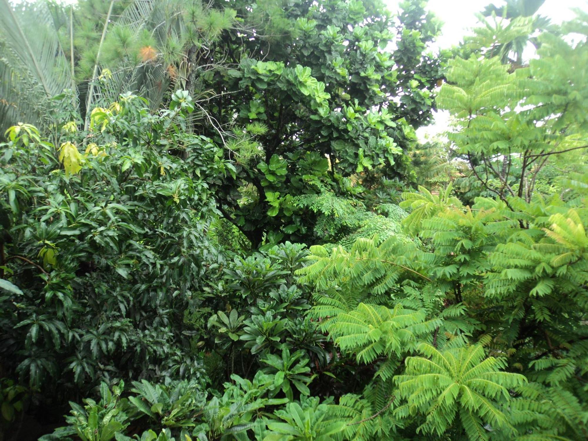 Villa Bhuana Alit 우붓 객실 사진