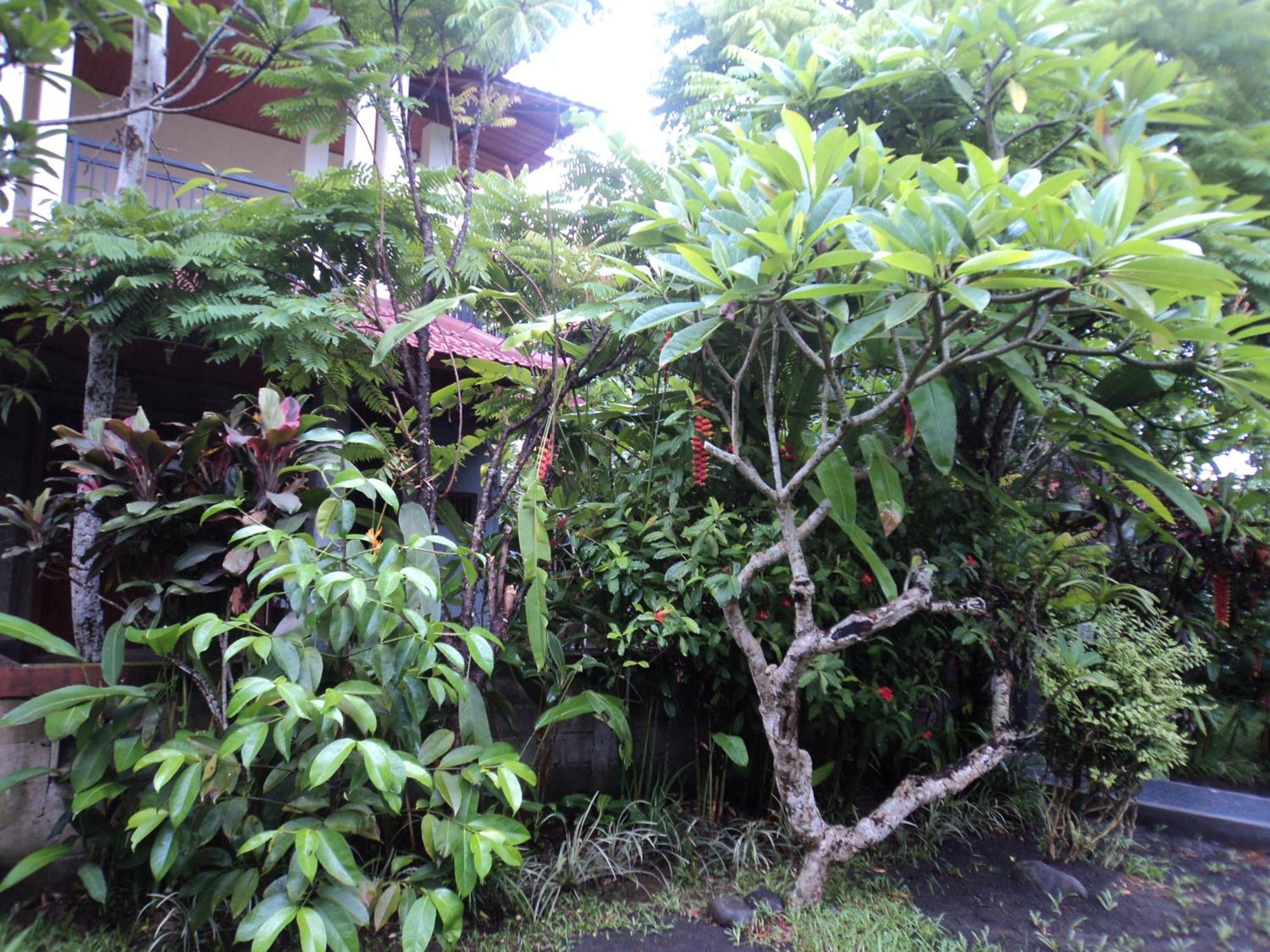 Villa Bhuana Alit 우붓 객실 사진